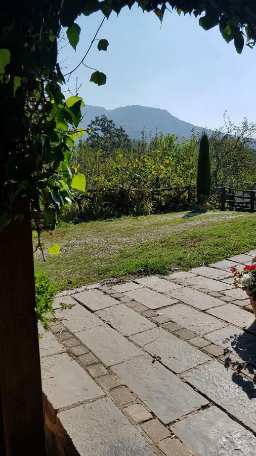 Alla Battuta Sansepolcro Extérieur photo